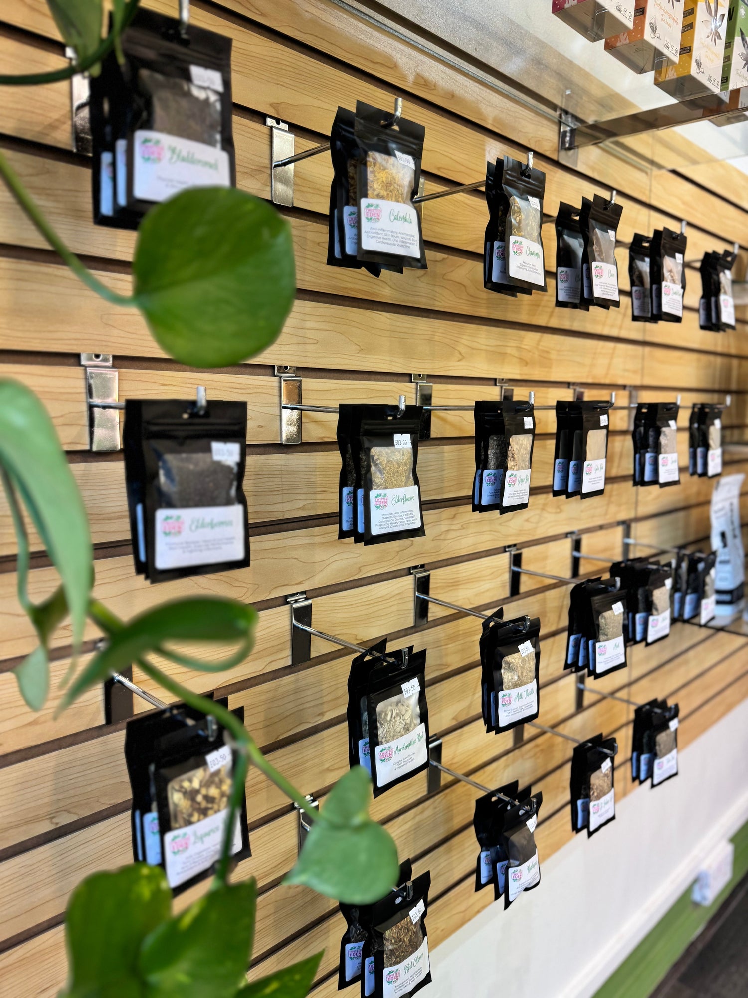 Herbs