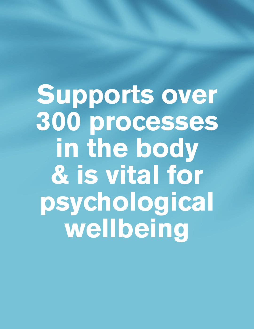 Magnesium Citrate | 400mg | 60 Capsules | Highly Absorbable