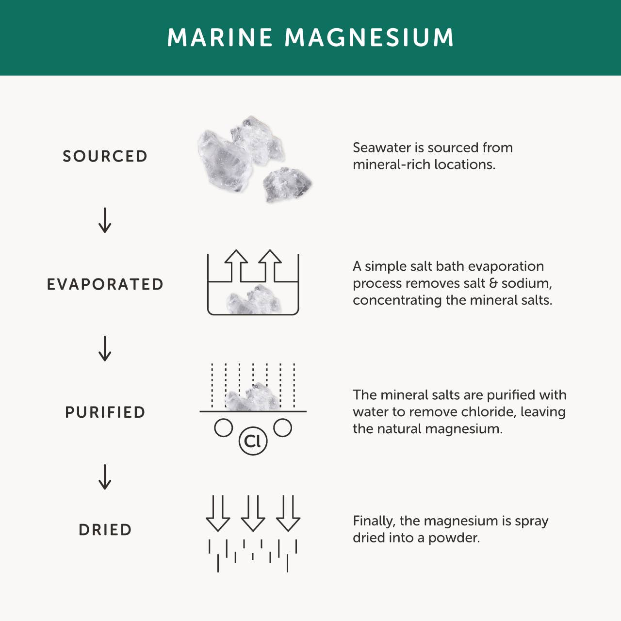 Magnesium Supplement - 5 Natural Forms - Together Health – 30 Capsules