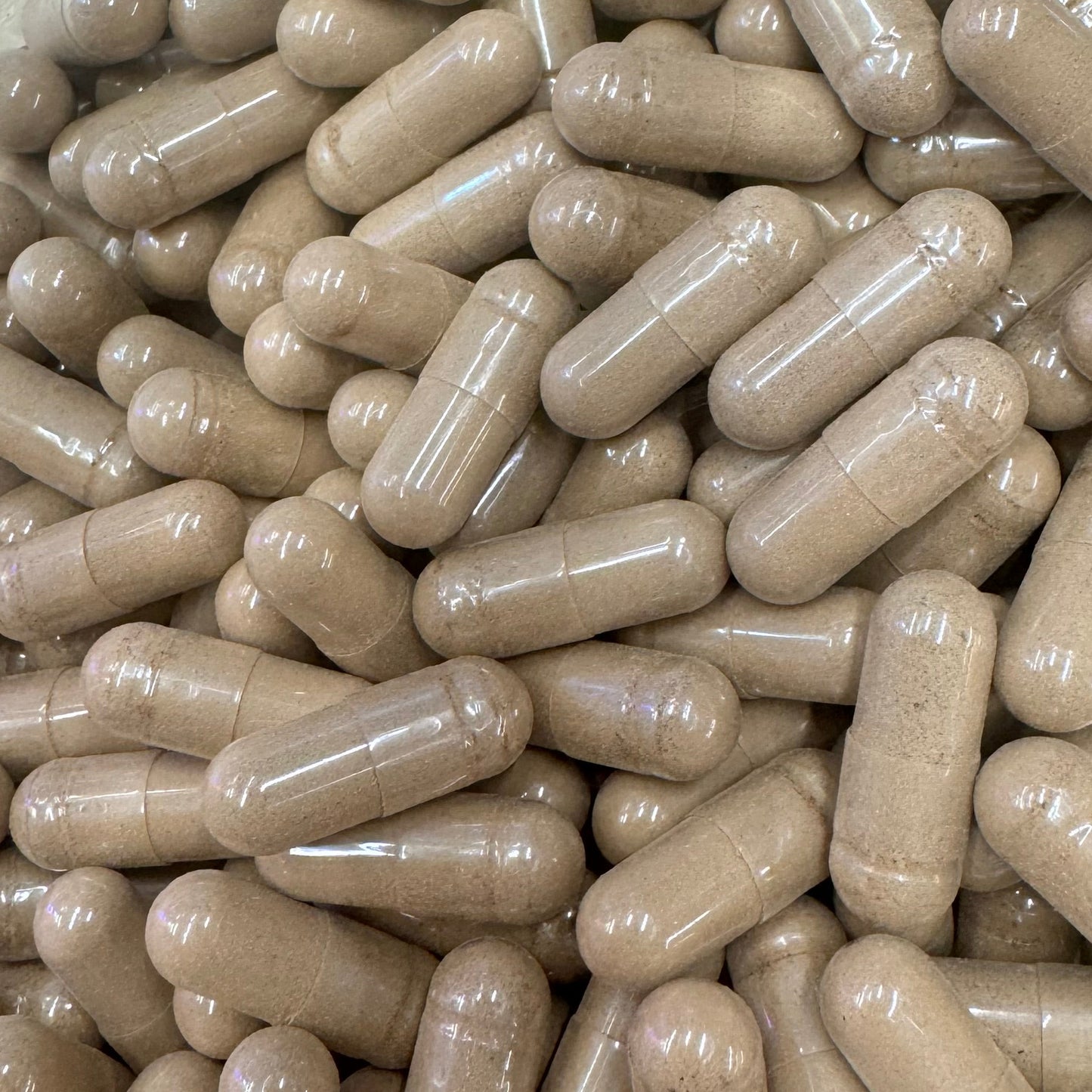 Mushroom Complex Loose Capsules 500mg– Tremella, Lion’s Mane, Cordyceps, Reishi &amp; Chaga Extract