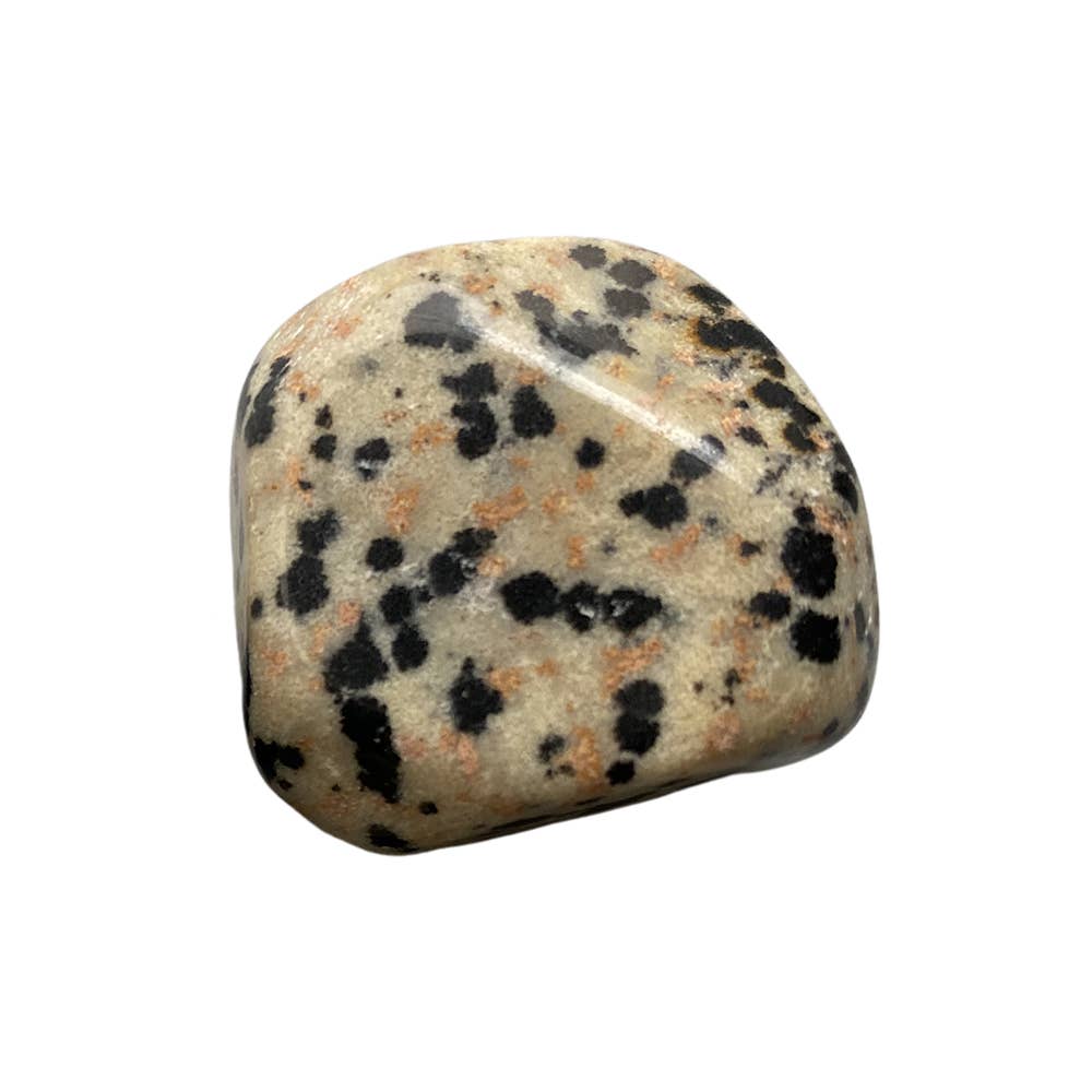 Tumbled Crystal, Single: Dalmatian Jasper