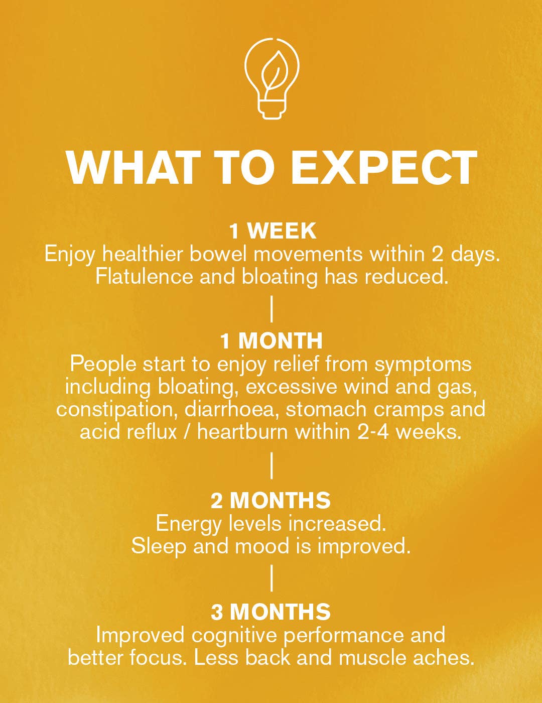 Gut Works® | 30 Capsules | Pre & Probiotic | 50 Billion CFU