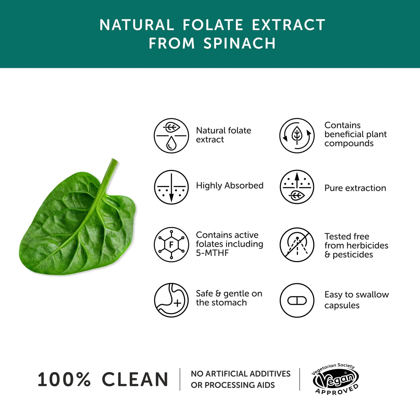 Folate – Natural Alternative to Folic Acid - Together Health– 30 Capsules