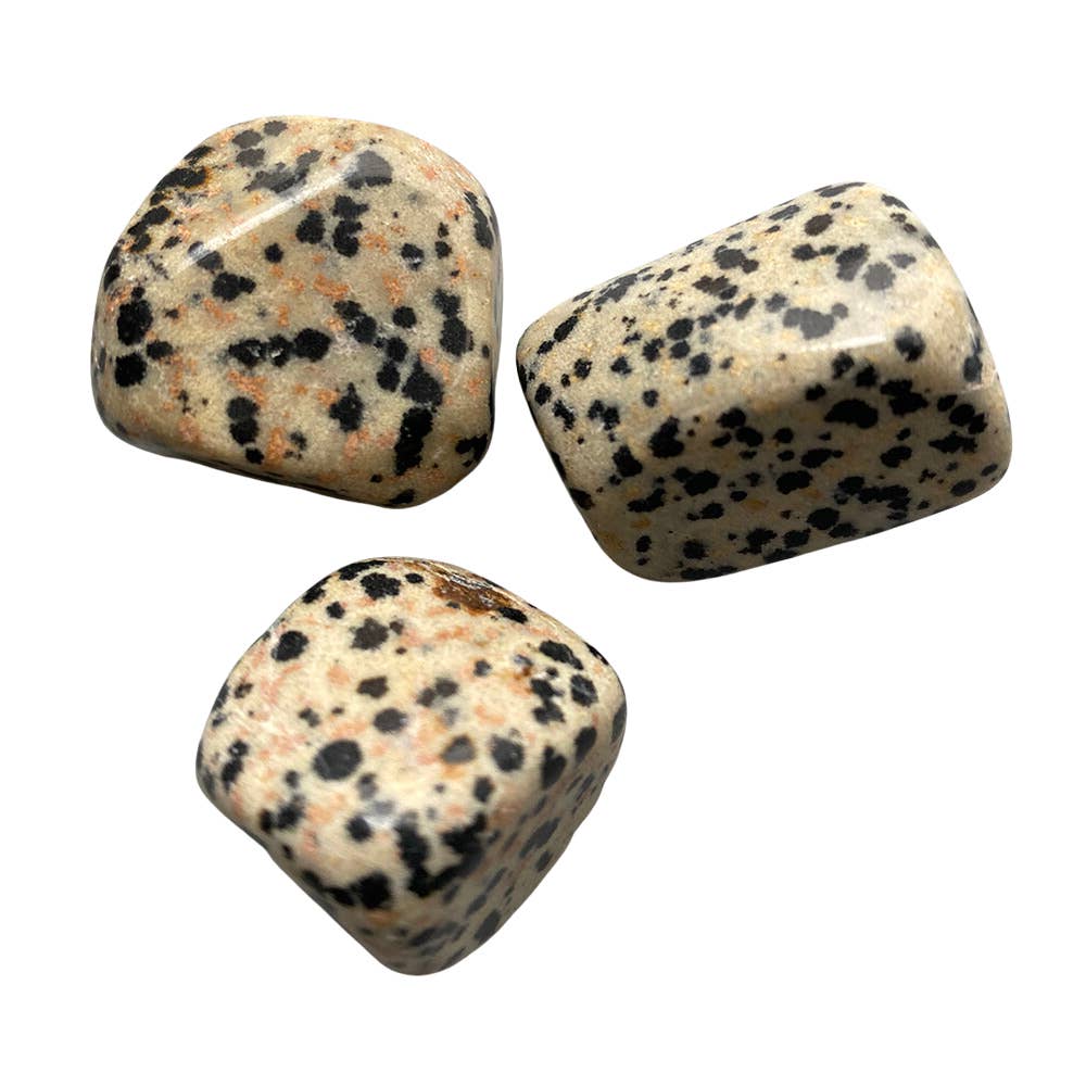 Tumbled Crystal, Single: Dalmatian Jasper